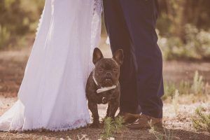 Post Boda en Ibiza - horsework.es
