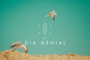 un dia genial - horsework.es