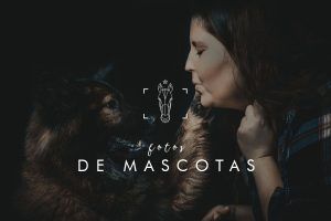 fotos de mascotas - horsework.es