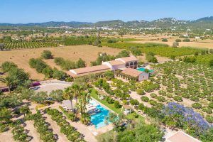 Fotografía y video para empresas en Ibiza - horsework.es