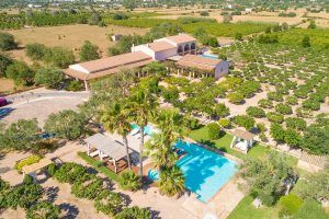 Fotografía y video para empresas en Ibiza - horsework.es